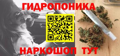 спиды Ливны