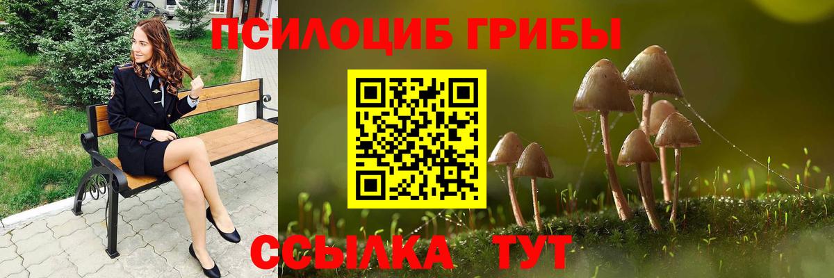 продажа наркотиков  Галлюциногенные грибы мицелий  Вход с VPN  Туапсе  Галлюциногенные грибы MAGIC MUSHROOMS 