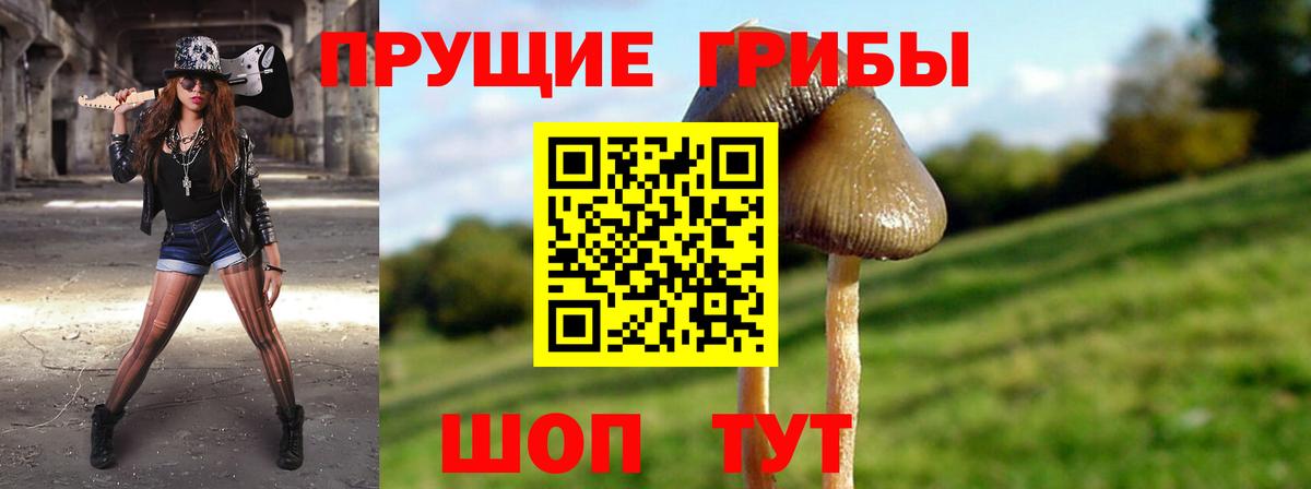 Псилоцибиновые грибы мухоморы Туапсе